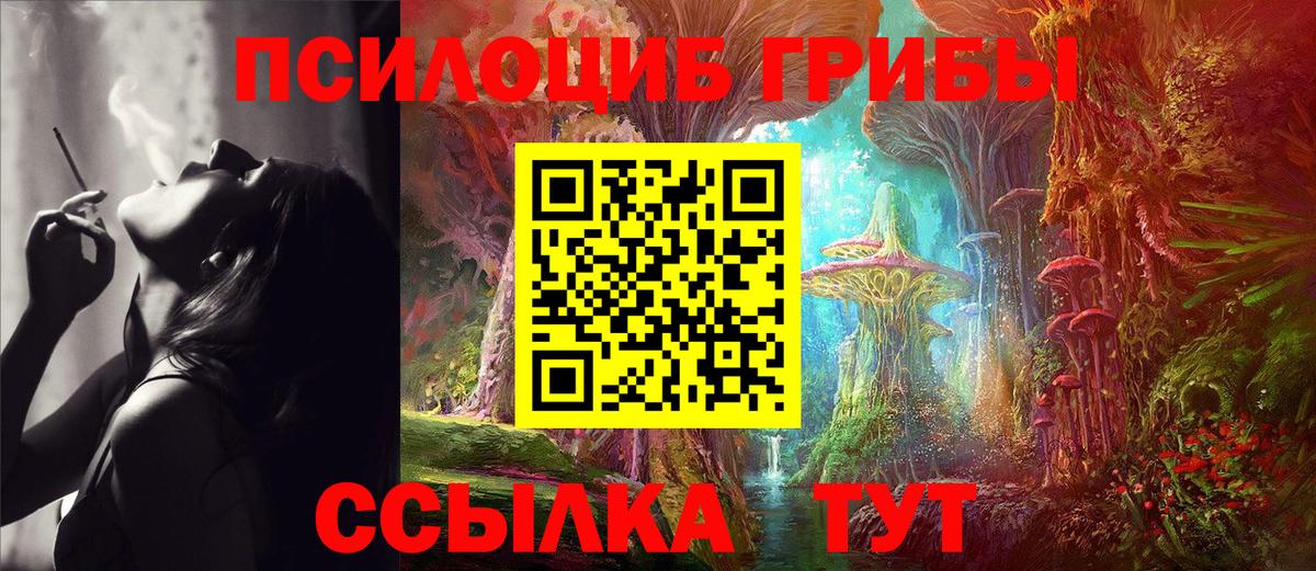 Кингисепп  Галлюциногенные грибы прущие грибы  Галлюциногенные грибы прущие грибы  Вход с VPN 
